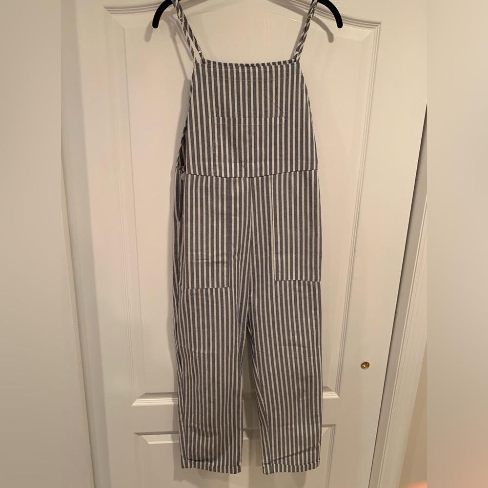 Medium Pinstripe Jumpsuit